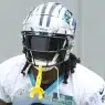 Panthers' in-house rivalry is heating up and it could reshape the franchise